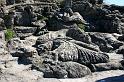 Bretagne (304)